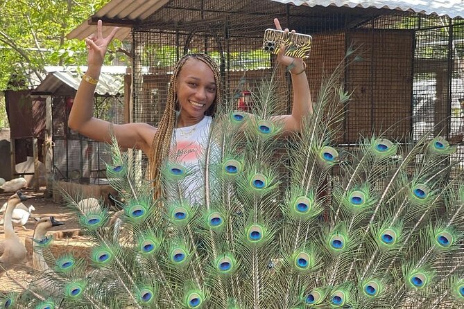 Montego Bay Exotic Herbs, Birds and Animals Interaction Tour - The agriculture stop: crops, planting, and the herb angle