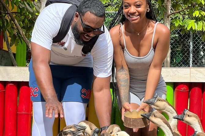 Montego Bay Exotic Herbs, Birds and Animals Interaction Tour - Pickup and timing: easy before a beach day