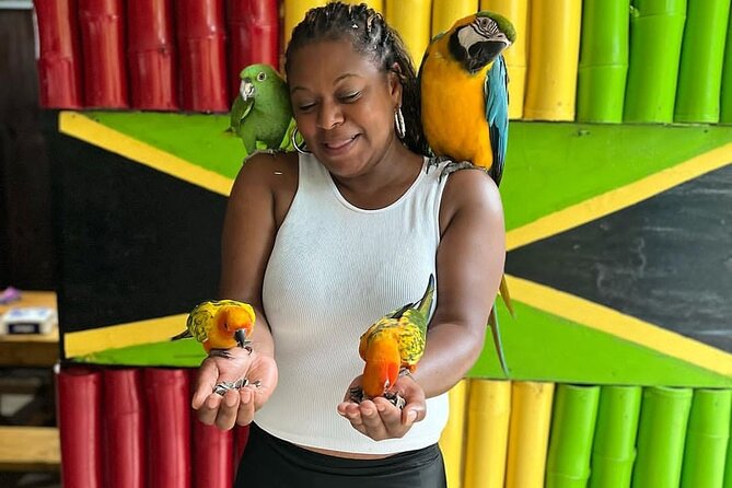 Montego Bay Exotic Herbs, Birds and Animals Interaction Tour - Group size, comfort, and how personal it can feel