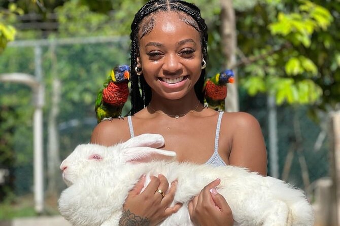 Montego Bay Exotic Herbs, Birds and Animals Interaction Tour - Value check: is $95 actually a good deal?