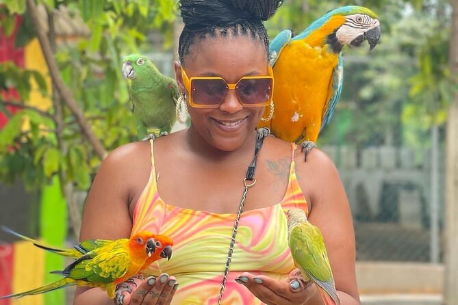 Montego Bay Exotic Herbs, Birds and Animals Interaction Tour - Photos on your phone: a small inclusion that saves you hassle