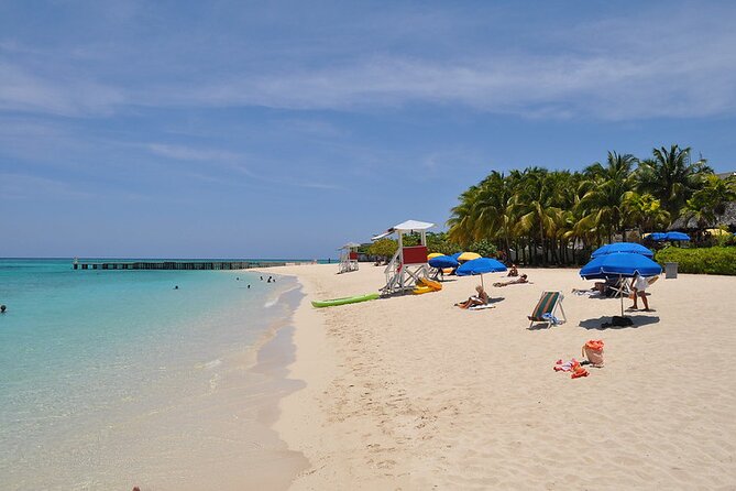 Montego Bay Highlights From Montego Bay Hotels - Price and value check for the Montego Bay highlights day