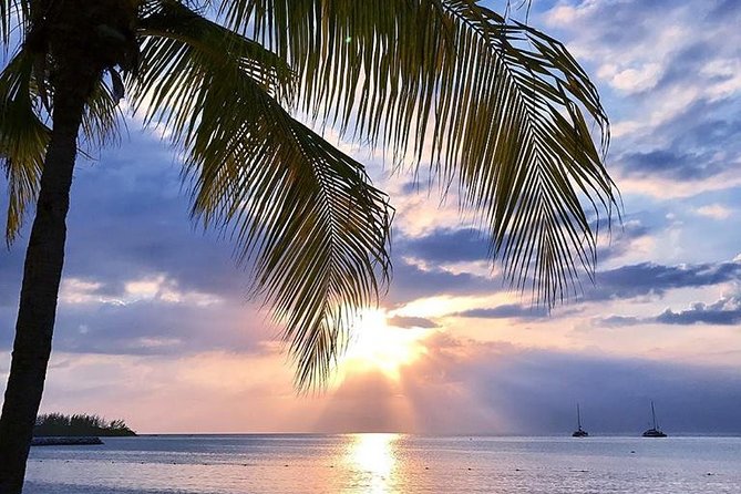 Montego Bay Highlights Tour from Montego Bay - The Hip Strip, Beaches, and Quick Shopping Breaks