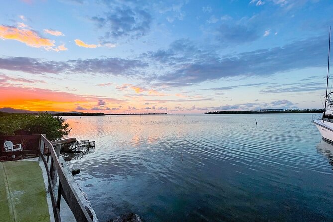 Montego Bay Local Experience & Beach from Cruise Ships - Who this tour fits best, and who should choose something longer