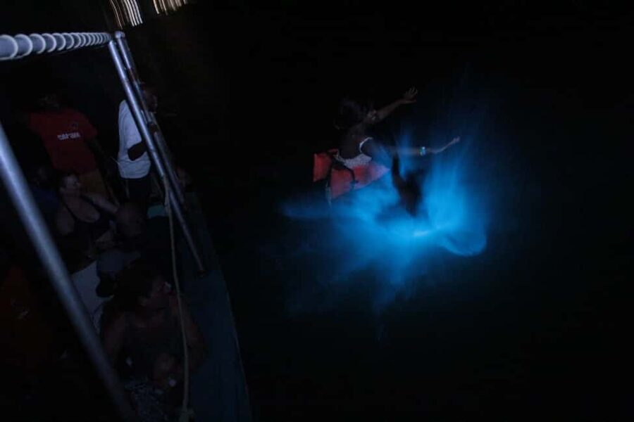 Montego Bay: Luminous Lagoon Evening Boat Tour - What creates the glowing water, and how to experience it best
