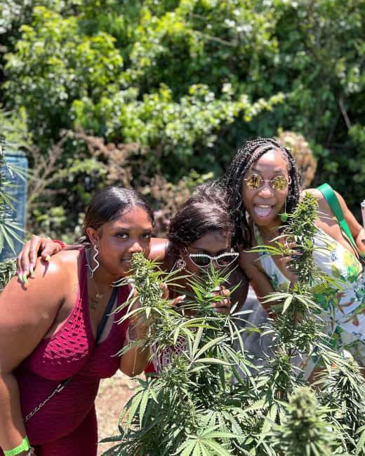Montego Bay: Marijuana Farm and Bird Sanctuary Tour - Key Points to Know Before You Go