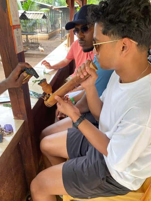 Montego Bay: Marijuana Farm and Bird Sanctuary Tour - Meeting in Montego Bay: What the Pickup Really Means