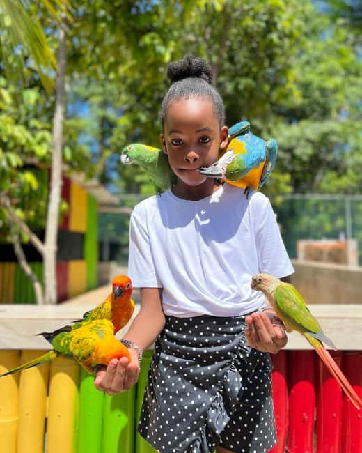 Montego Bay: Marijuana Farm and Bird Sanctuary Tour - Exotic Bird Sanctuary: Where Interaction Can Feel Great, or Not
