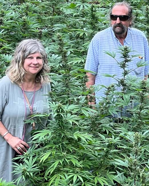Montego Bay: Marijuana Farm Private Tour with Transportation - Getting to the farm: pickup that starts the experience