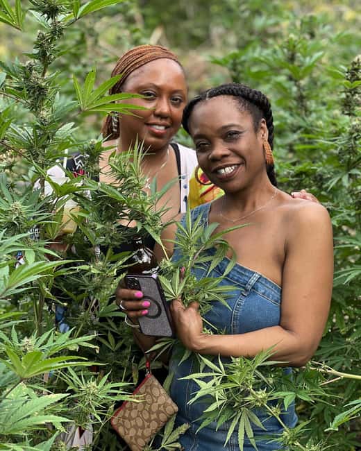 Montego Bay: Marijuana Farm Private Tour with Transportation - Practical tips before you go