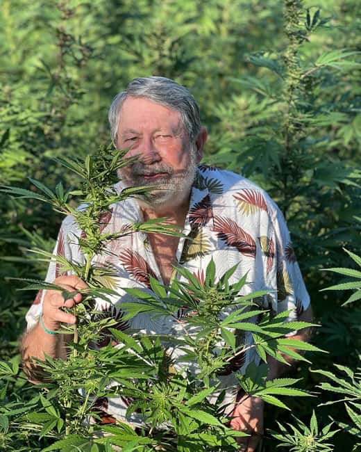 Montego Bay Marijuana Farm Tour - Price and Value: Is $140 Fair for This Montego Bay Tour?