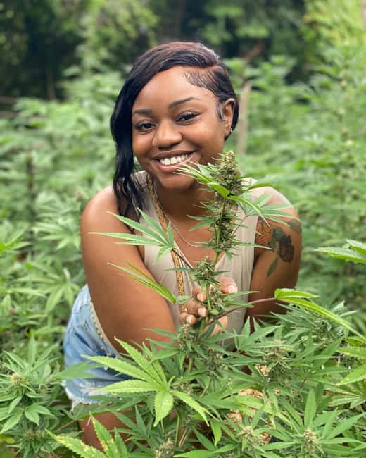 Montego Bay Marijuana Farm Tour - Montego Bay Marijuana Farm Tour: What It Really Feels Like