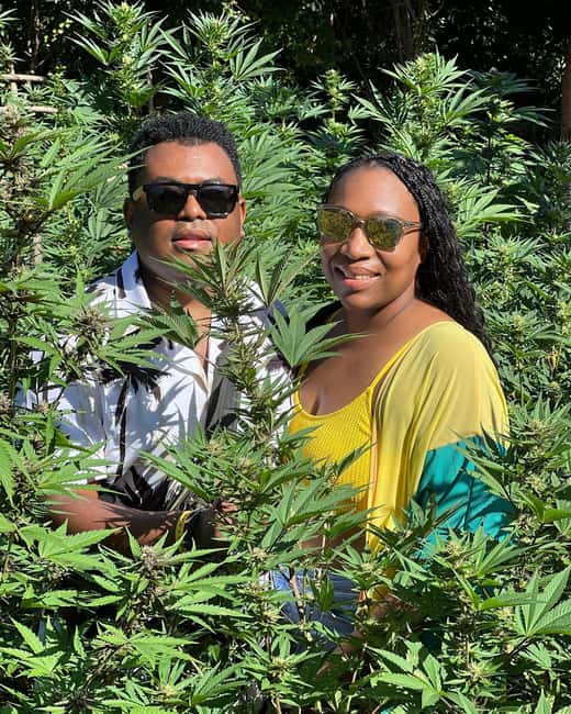 Montego Bay Marijuana Farm Tour - Photos in the Rows: When That Camera Time Actually Helps