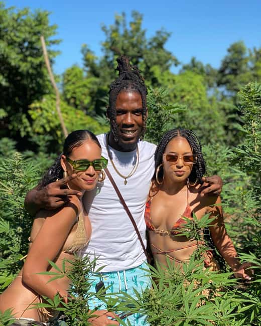 Montego Bay Marijuana Farm Tour - Rastafari Culture and Medicinal Use: What You’ll Hear Beyond Farming