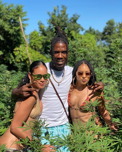 Montego Bay Marijuana Farm Tour - Guide Experience: Randy and the Value of a Good Storyteller
