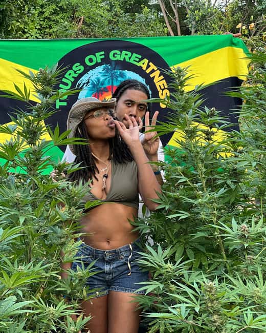 Montego Bay Marijuana Farm Tour - Getting There from Montego Bay, St. James, Falmouth, or Trelawny