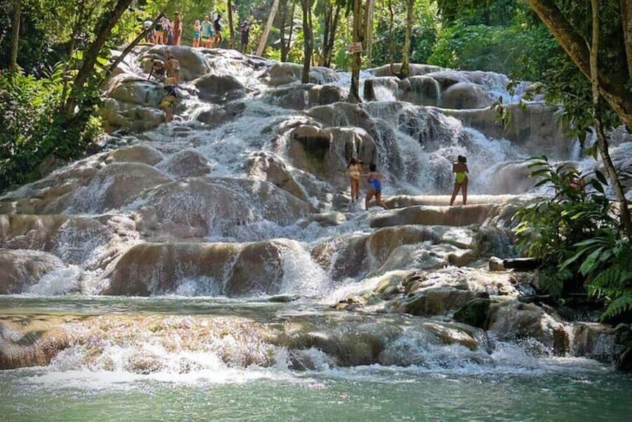 Montego Bay: Private Dunn's River Falls and Blue Hole Tour - Key highlights you should care about