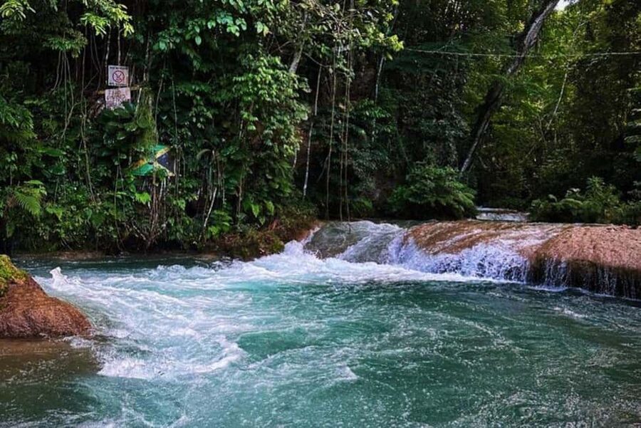 Montego Bay: Private Dunn's River Falls and Blue Hole Tour - How this 4-hour private combo works in real life