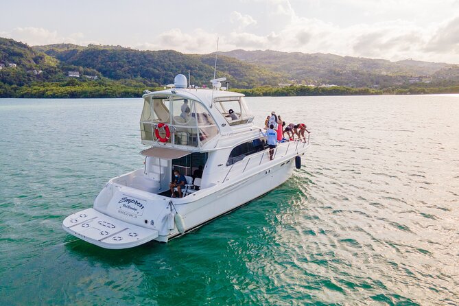 Montego Bay Private Yacht Tour with Open Bar and Lunch - Price and logistics: how to decide if this is the right fit