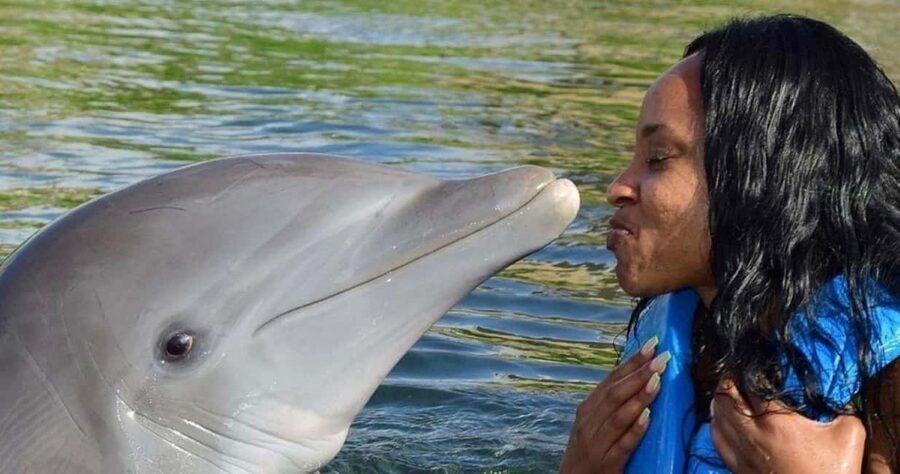 Montego Bay: Swim With The Dolphins Adventure in Lucea - Key highlights worth planning around