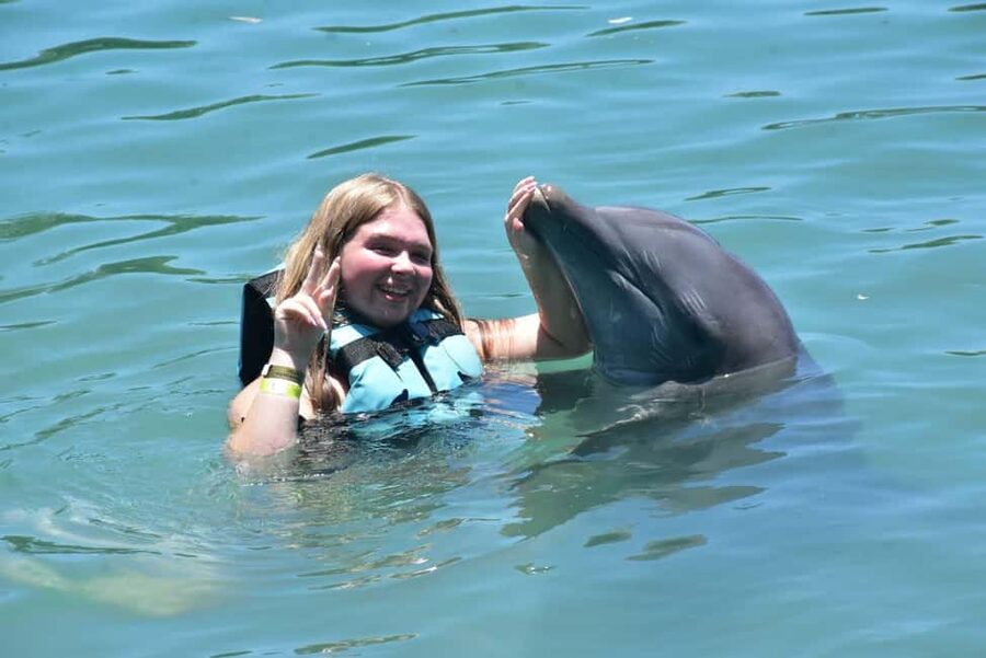 Montego Bay: Swim With The Dolphins Adventure in Lucea - Where Lucea Dolphins Meet Dolphin Cove Montego Bay Pickup Stops