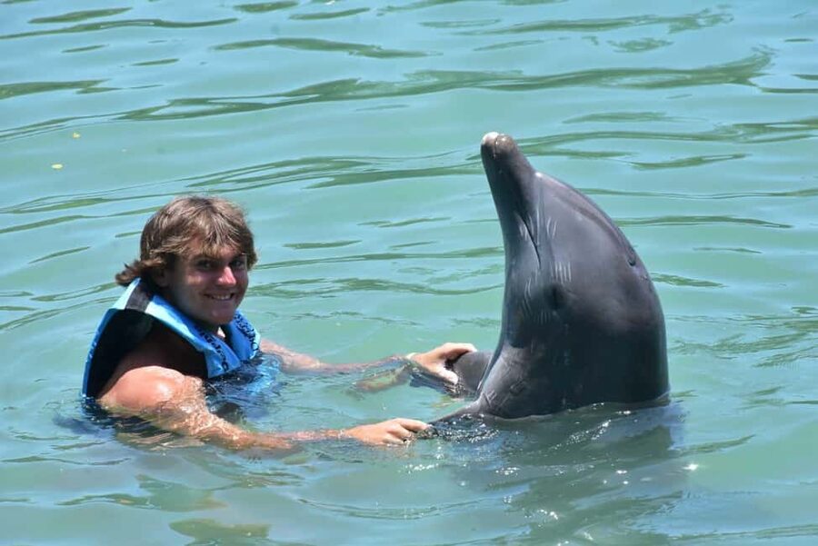 Montego Bay: Swim With The Dolphins Adventure in Lucea - The Dolphin Encounter: Knee-Deep Platform and Dolphin Basics