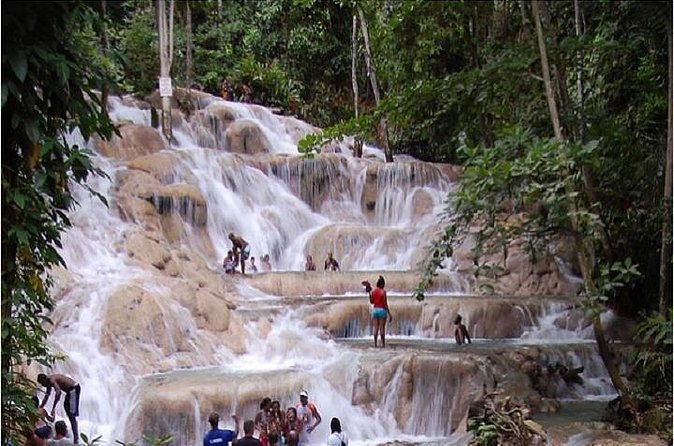 Montego Bay to Dunn's River Falls Half-Day Trip - What to Bring: Water Shoes, Towel, and a Waterproof Phone Plan