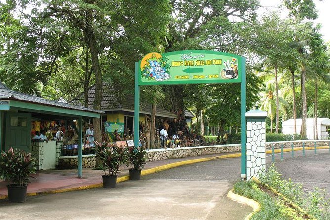 Montego Bay to Dunn's River Falls Half-Day Trip - Craft Market Time, How to Shop Without Losing Your Walk Through the Rainforest