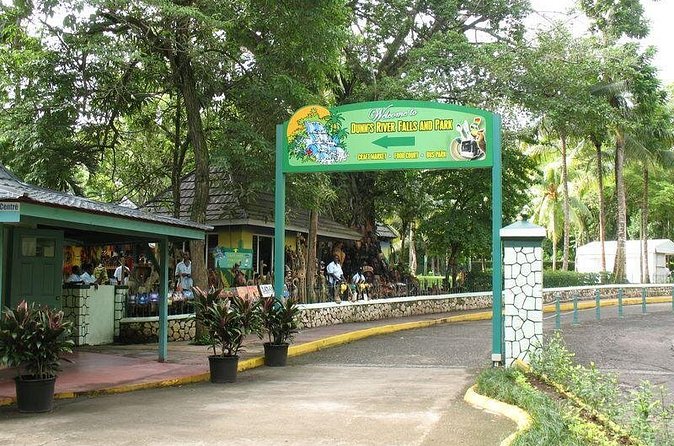Montego Bay to Dunn's River Falls Half-Day Trip - Who Should Book This (and Who Should Skip the Climb)