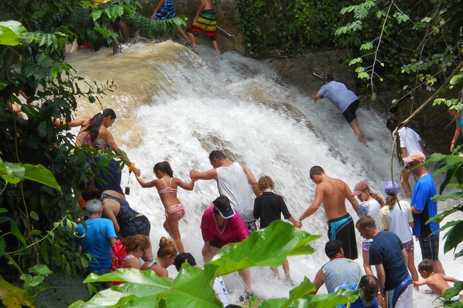 Montego Bay tour: Dunn's River Falls - Dunn’s River Falls: Climb 180 Feet, Then Cool Off in Natural Pools
