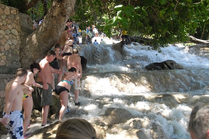 Montego Bay tour: Dunn's River Falls - Price and Value at $171.09 Per Person