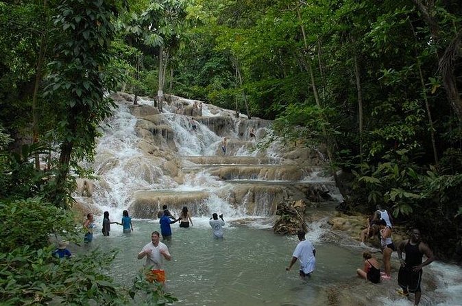 Montego Bay tour: Dunn's River Falls - Who Should Book This Private Dunn’s River Tour