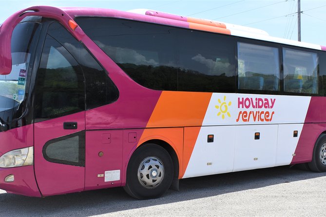 MontegoBay Airport to Ocho Rios: One way/Round Trip cheap Shuttle - Route Coverage: Where This Shuttle Fits Best for Ocho Rios and Beyond