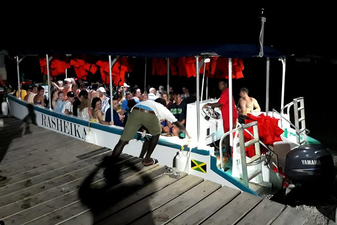 Mystic Lagoon Guided Boat Ride and Swim - Bioluminescence 101, and how to help it show up