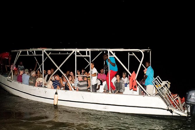 Mystic Lagoon Guided Boat Ride and Swim - The 3-hour flow: pickup, boat cruising, and your swim window