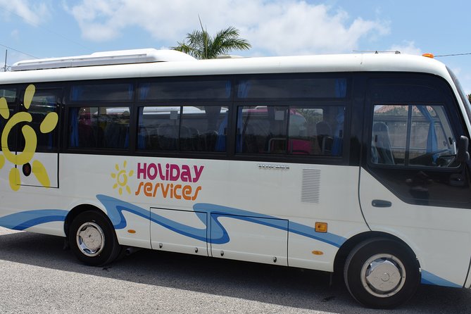 Mystic Lagoon Night-Time Cruise and Swim from Montego Bay & Trelawny - Price and value: does $75 for 3 hours make sense?