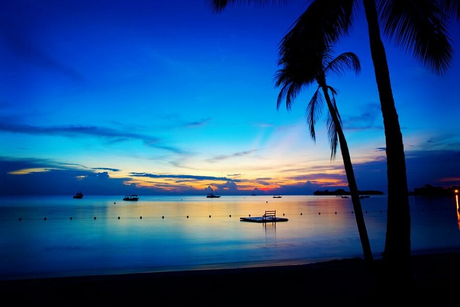 Negril 7-Hour Tour from Montego Bay - Key highlights worth planning for