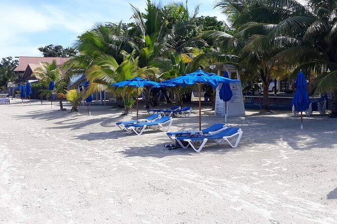 Negril 7 Miles Beach and Rick's Cafe Tour - Key Things You’ll Notice on This Negril Tour