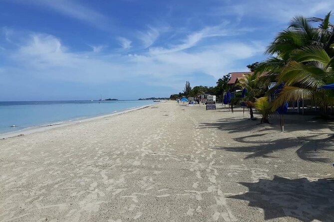 Negril 7 Miles Beach and Rick's Cafe Tour - Food and Tickets: Where Your Budget Can Change