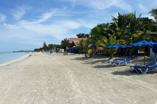 Negril 7 Miles Beach and Rick's Cafe Tour - Practical Tips I’d Use Before You Go