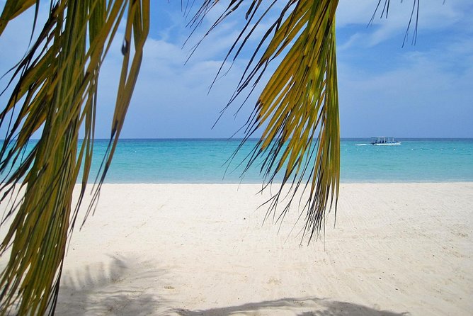 Negril Beach & Ricks Cafe from Montego Bay - How the Day Works From Montego Bay