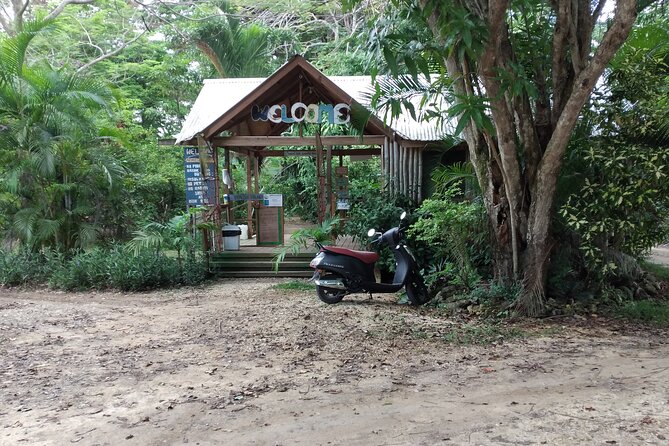 Negril Private and Public Beach with Ricks Cafe from Montego Bay - Negril’s Seven Mile Beach: The Public Side With Real Choice