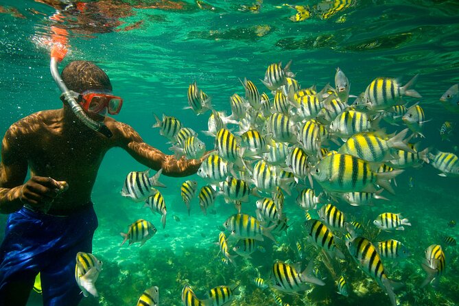 Negril Seven Miles Beach, Snorkeling, Boat Ride, Ricks Cafe Combo - The Private Island Lunch, Lobster or Fish, and Why It’s Better Than a Random Stop