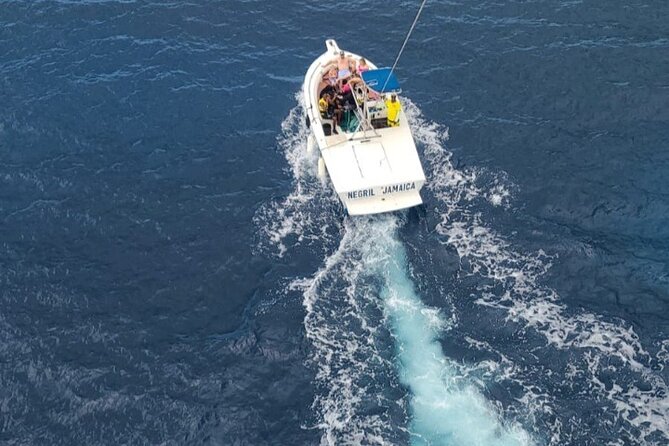 Negrils Seven Miles Beach, Rick's cafe and Parasailing Tour. - Price and value: is $180 per person a fair deal?