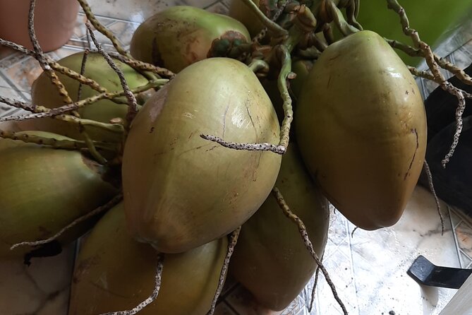 Omar's River Tubing from Montego Bay - The Plants, Trees, and Fish Chat Along the Banks