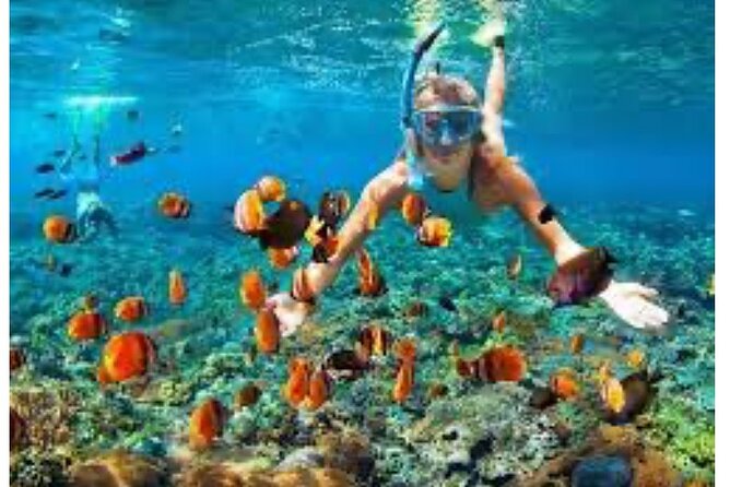 Party Catamaran and Snorkeling Tour in Montego Bay - Onboard Bar, Lights, and the Kind of Crew You Want