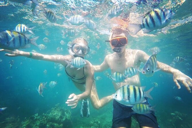 Party Catamaran Cruise with Open Bar and Snorkeling Montego Bay - Which Tour Time Fits You: Families in the Morning, Adults in the Afternoon