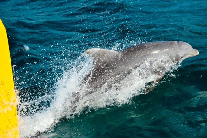 Party Catamaran: OpenBar, Music, Negril Beach, Caves, Snorkeling - The catamaran ride from Negril: snorkeling, music, and unlimited drinks