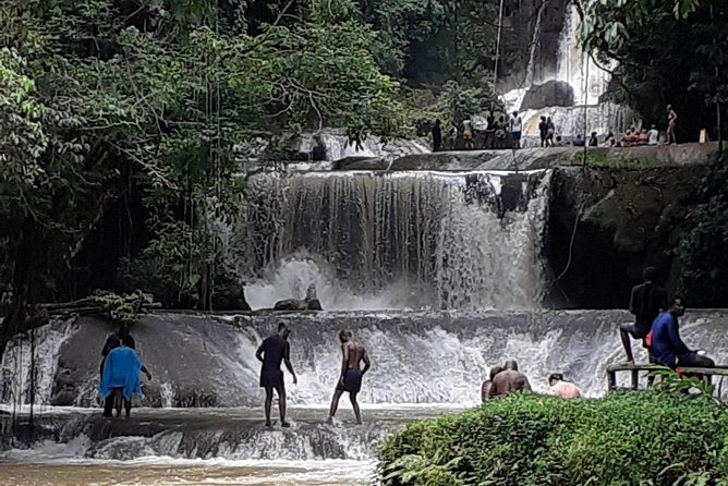 Pelican Bar, Appleton Rum Tour, YS Falls Jamaica south coast experience Montego - Who should book this tour, and who might not