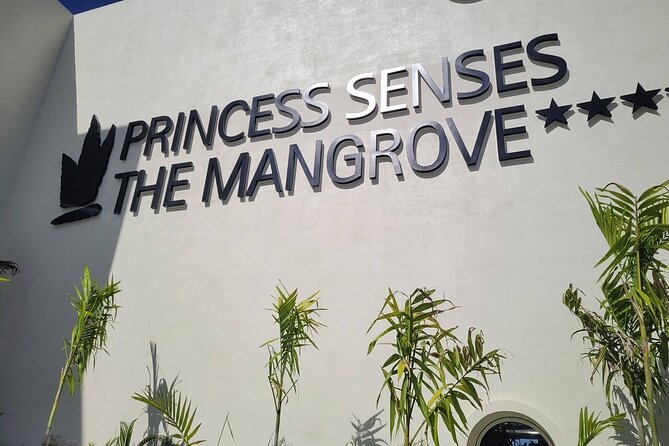 Princess Senses The Mangrove Airport Transfers - Private for Your Group: When That’s Worth It